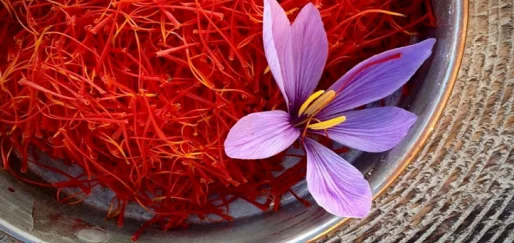 تصویر 4 از قیمت زعفران سوپر نگین ممتاز بدیعی با کیفیت ارزان + خرید عمده