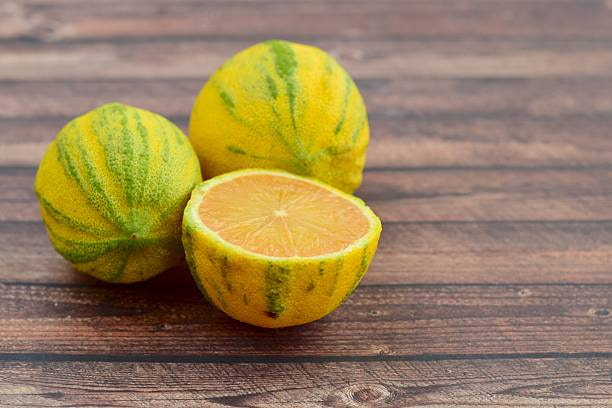 تصویر 1 از معرفی لیمو شیرین پیوندی + بهترین قیمت خرید