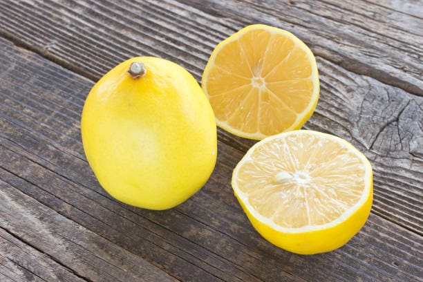 تصویر 2 از معرفی لیمو شیرین پیوندی + بهترین قیمت خرید