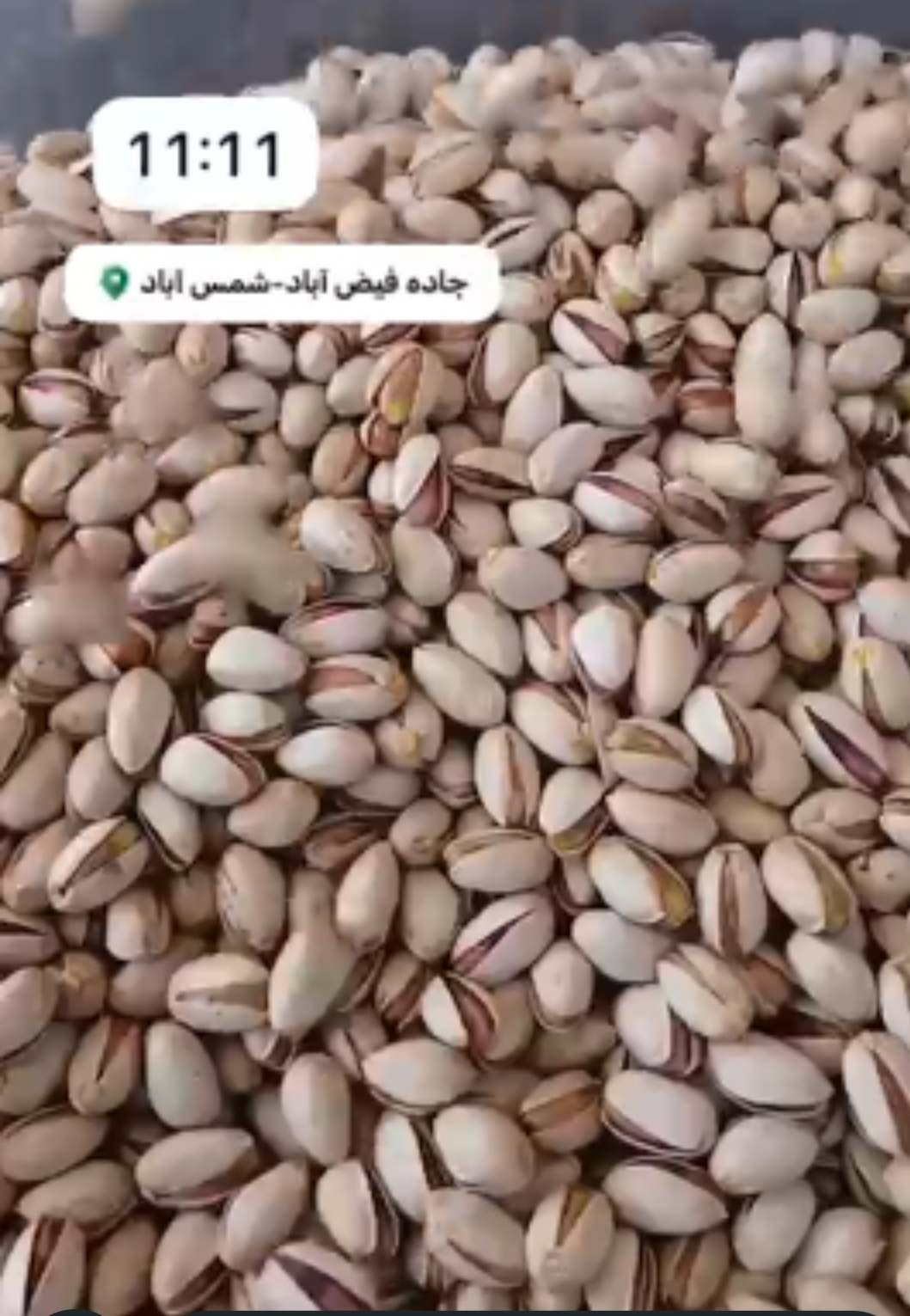 خرید پسته بادامی  + فیض آباد صادراتی