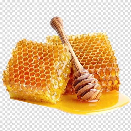 تصویر 5 از خرید عسل آفتابگردان + قیمت فروش استثنائی