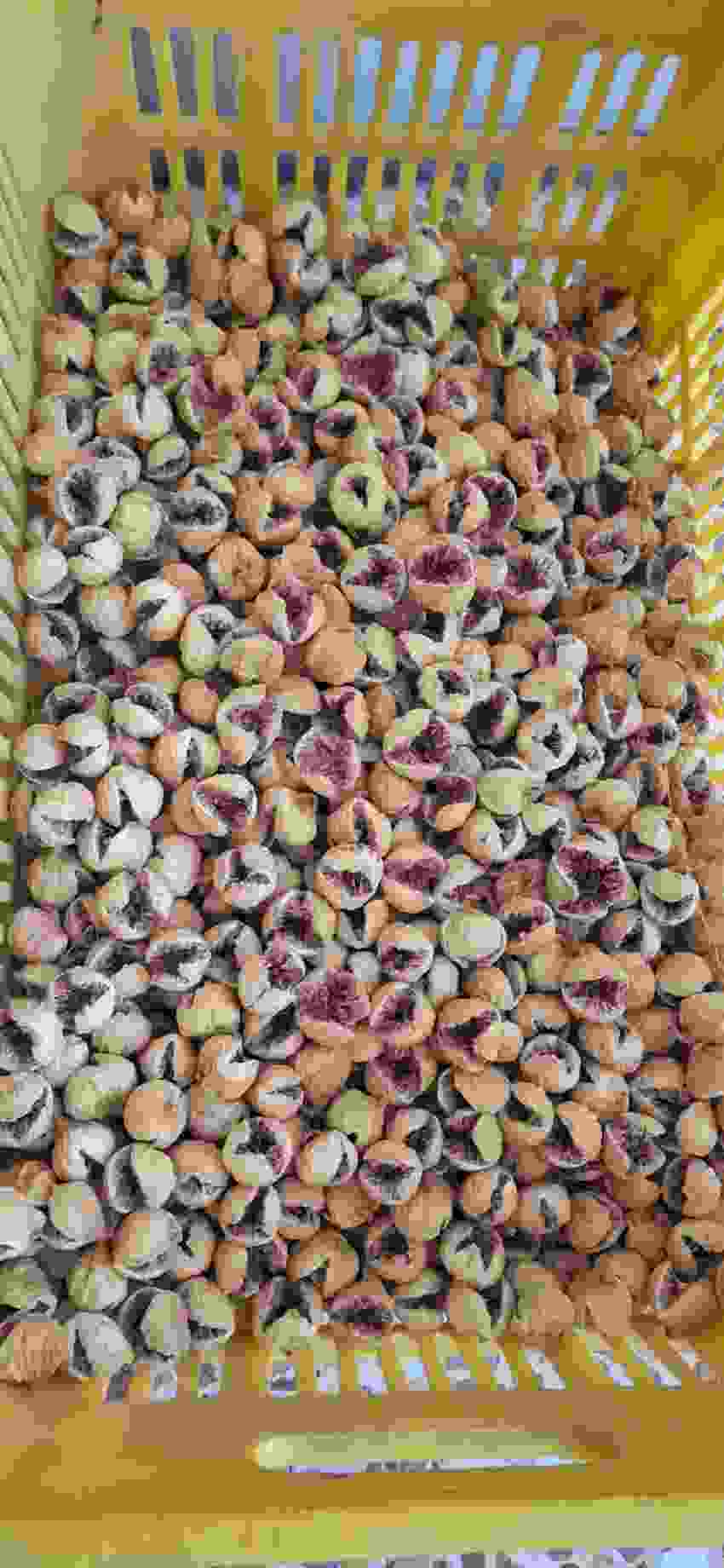 تصویر 3 از مرکز خرید و فروش انجیر خشک + قیمت استثنائی