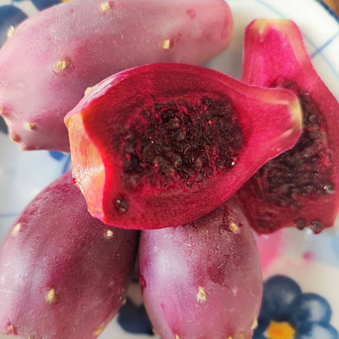 تصویر 1 از خرید میوه کاکتوس کوچک