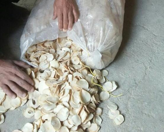 تصویر 1 از فروش عمده موسیر پلاک خشک با کیفیت صادراتی