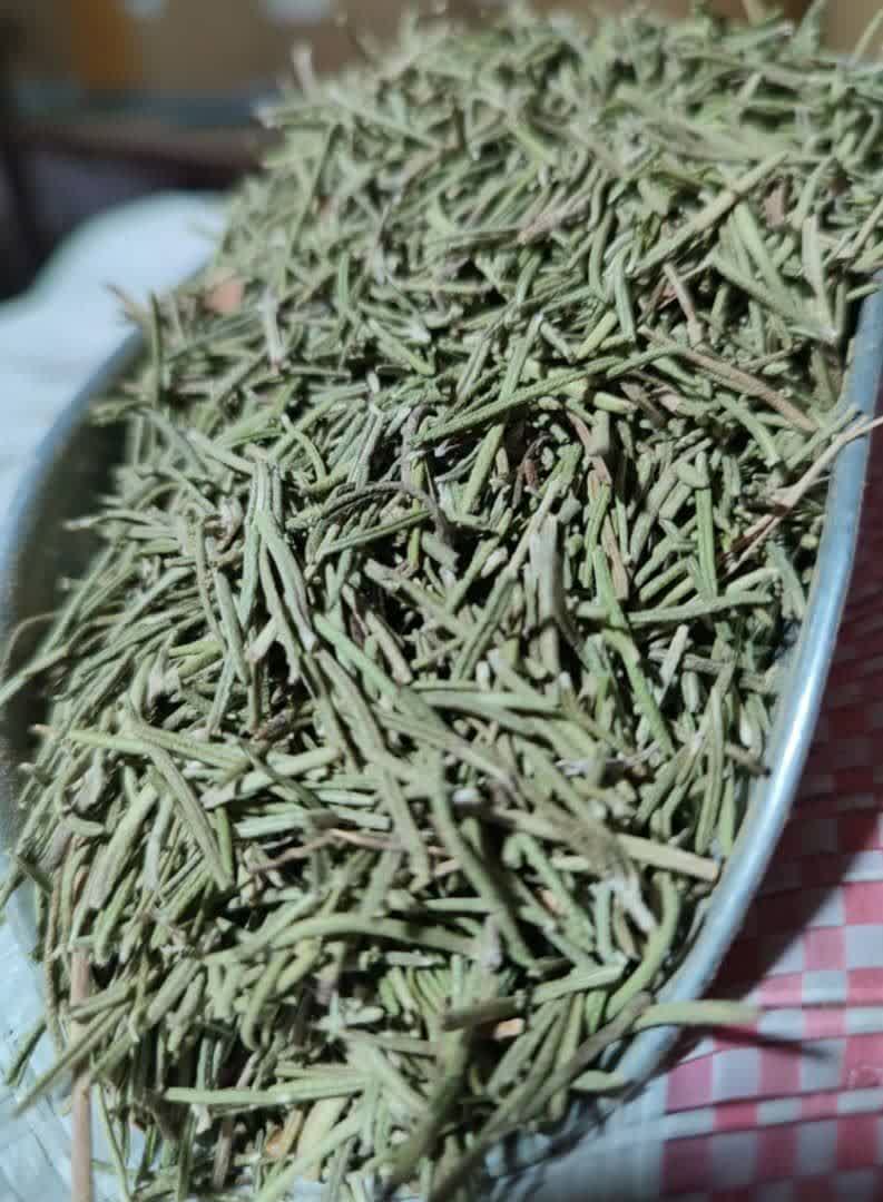 تصویر 3 از فروش عمده رزماری خشک با کیفیت ممتاز