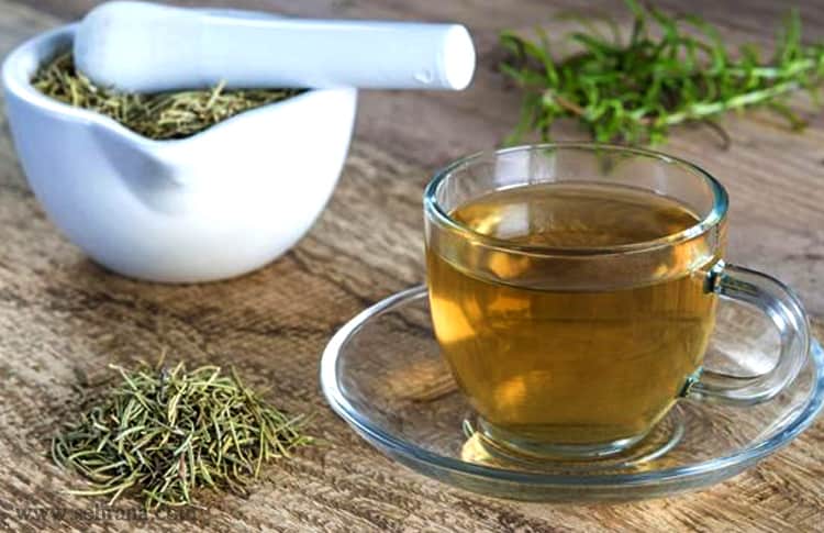تصویر 4 از دمنوش رزماری طبیعی و خوش‌عطر + فروش عمده