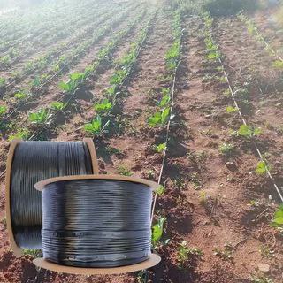 تصویر 1 از قیمت و خرید نوار آبیاری پلاکدار 15 سانتی + فروش عمده