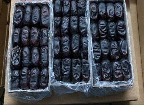 تصویر 3 از فروش ویژه خرما مضافتی بم + قیمت استثنائی