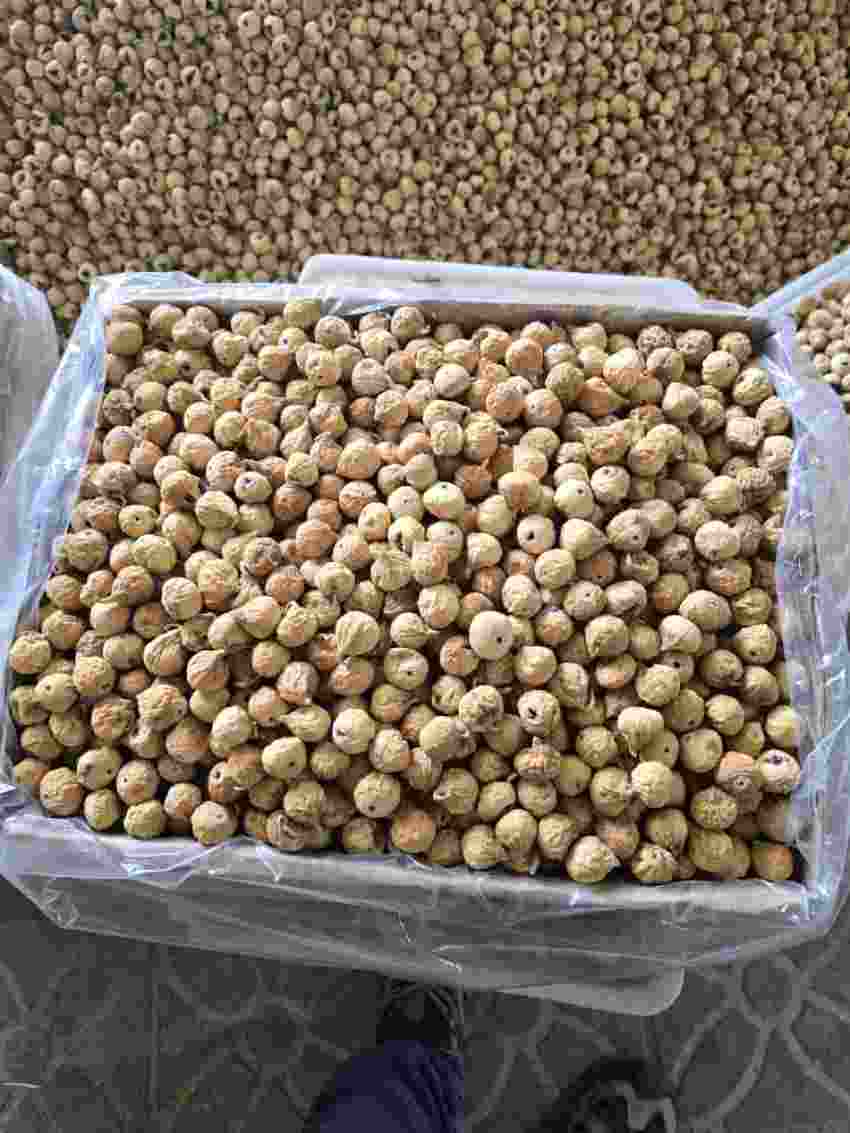تصویر 1 از مرکز خرید و فروش انجیر خشک آفتابی + قیمت واقعی