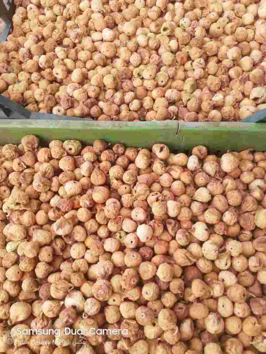 تصویر 4 از مرکز خرید و فروش انجیر خشک اعلا + قیمت عالی