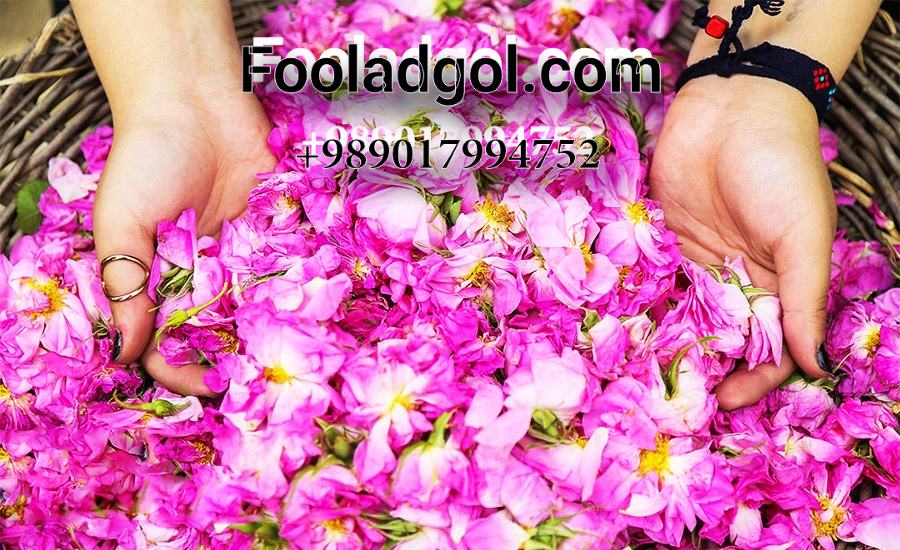خرید عمده گلاب صادراتی و طرفداران آن با شرکت فولاد گل