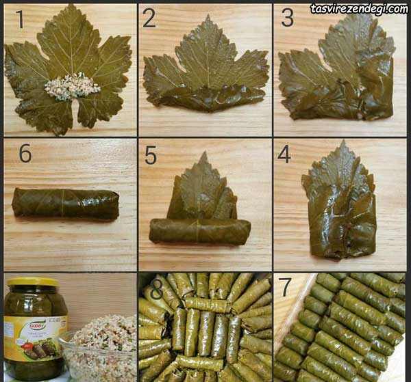 تصویر 3 از برگ مو زمستونی + برگ دلمه