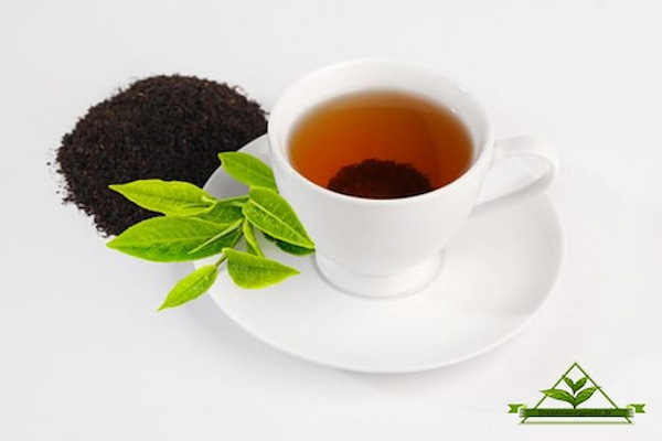 تصویر 1 از قیمت خرید چای ایرانی شکسته عمده به صرفه و ارزان
