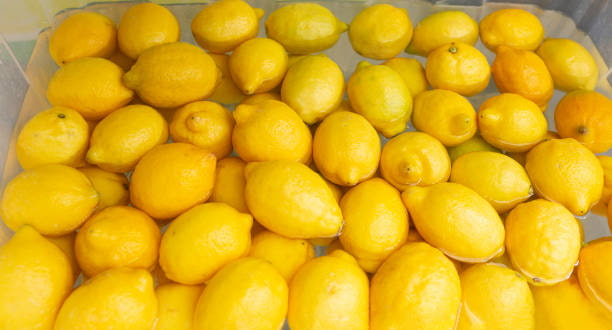 تصویر 1 از قیمت خرید لیموشیرین ارگانیک + فروش ویژه