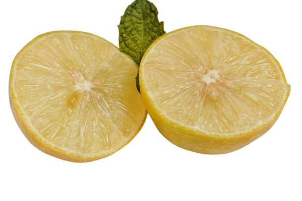 تصویر 3 از قیمت خرید لیموشیرین شیرازی با فروش عمده