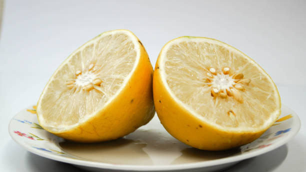 تصویر 3 از معرفی لیمو شیرین ارگانیک شیراز + بهترین قیمت خرید