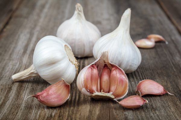 تصویر 4 از خرید و قیمت انواع سیر کوهی