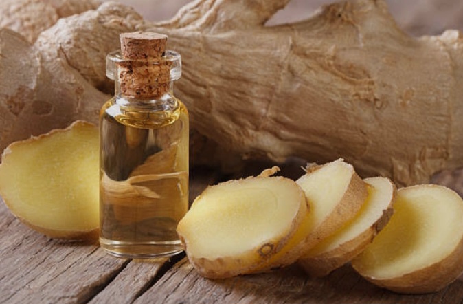 فروش عمده اسانس زنجبیل طبیعی گرید A