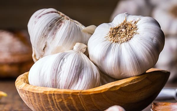 تصویر 5 از خرید جدیدترین انواع سیر وحشی