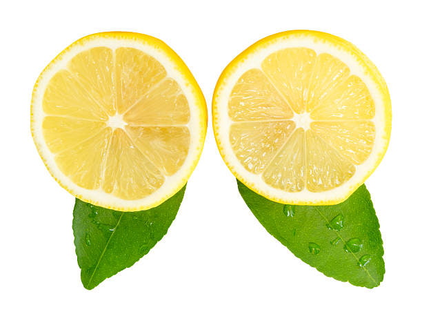 تصویر 3 از خرید و فروش لیمو شیرین تازه و درجه یک جهرم با شرایط فوق العاده