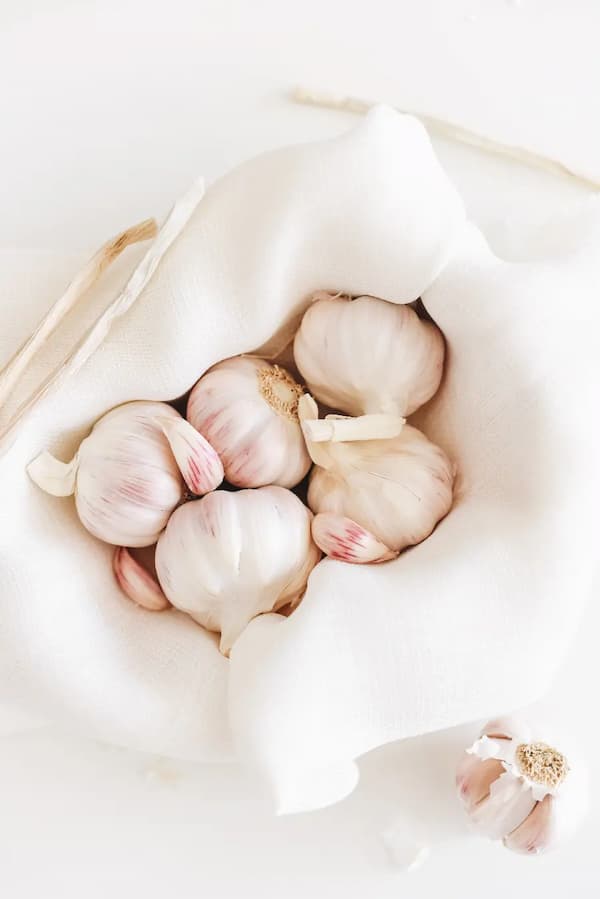 تصویر 3 از راهنمای خرید سیر کوهی خشک + قیمت عالی