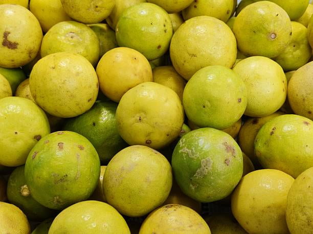 تصویر 2 از قیمت خرید لیمو شیرین تازه و آبدار جیرفت عمده به صرفه و ارزان