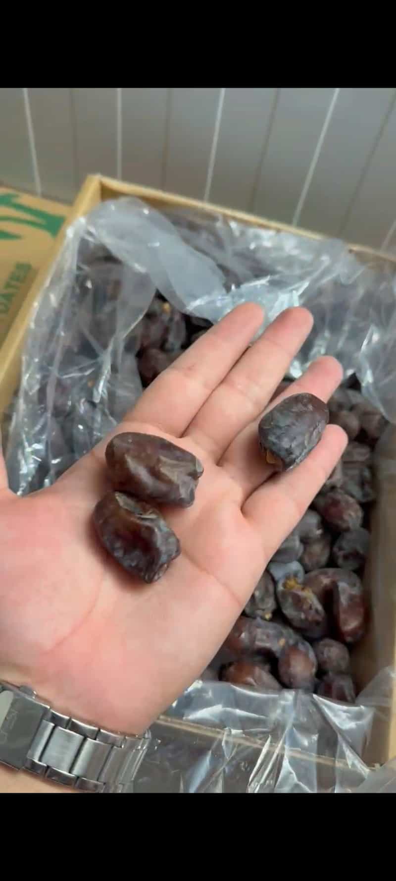 تصویر 1 از خرما مضافتی خشک فروش با قیمت ویژه
