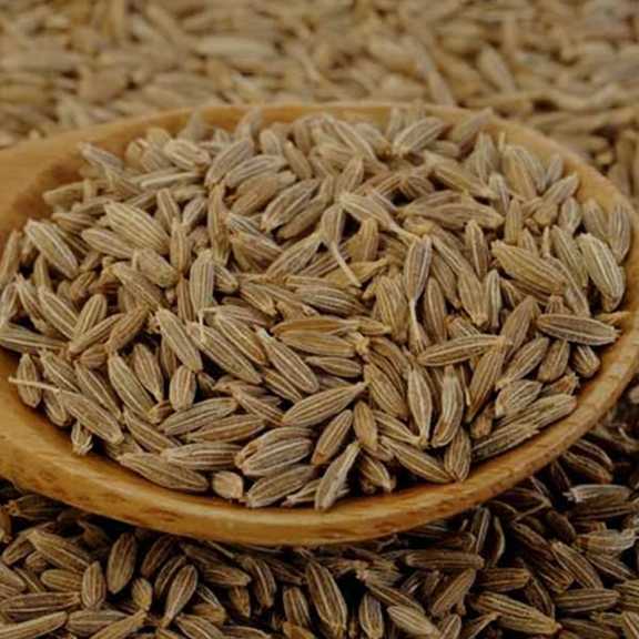 تصویر 5 از خرید زیره افغانی تمیز شده کارخانه‌ ای و خوشبو