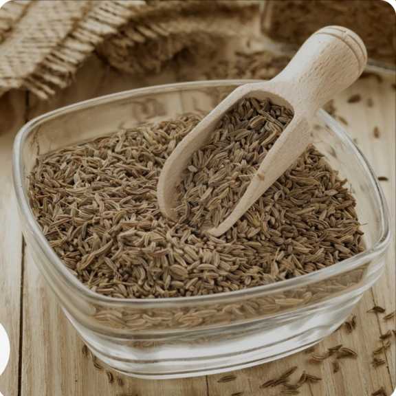 تصویر 4 از زیره کوهی خوش عطر و قیمت مناسب
