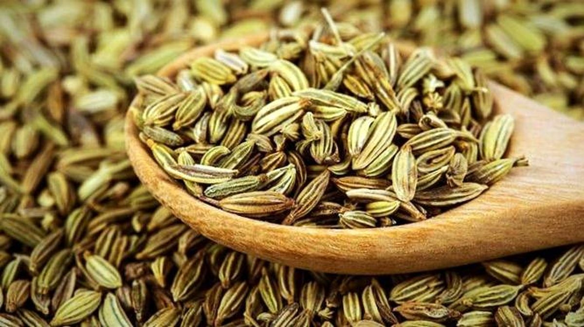 تصویر 3 از خرید و فروش عمده زیره سبز