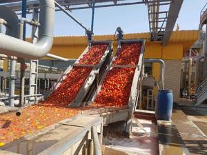 تصویر 2 از خرید و فروش مرغوب ترین رب گوجه در شیراز