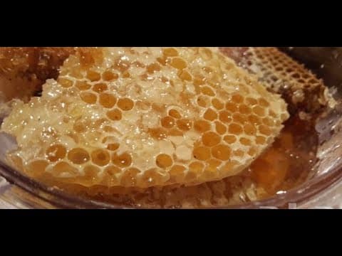 تصویر 1 از خرید عمده عسل کندو + قیمت کف بازار