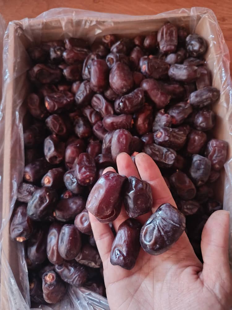 تصویر 1 از فروش تناژی خرمای مضافتی ویژه تجار و بازرگانان