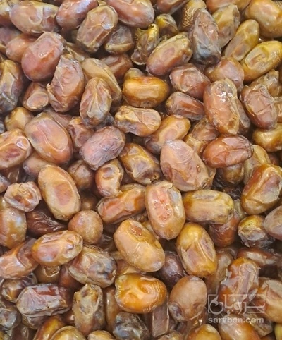 خرما ضایعات جیرفت