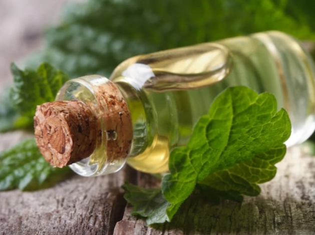 تصویر 1 از قیمت عرق نعنا ی چهل عیار + بهترین نوع
