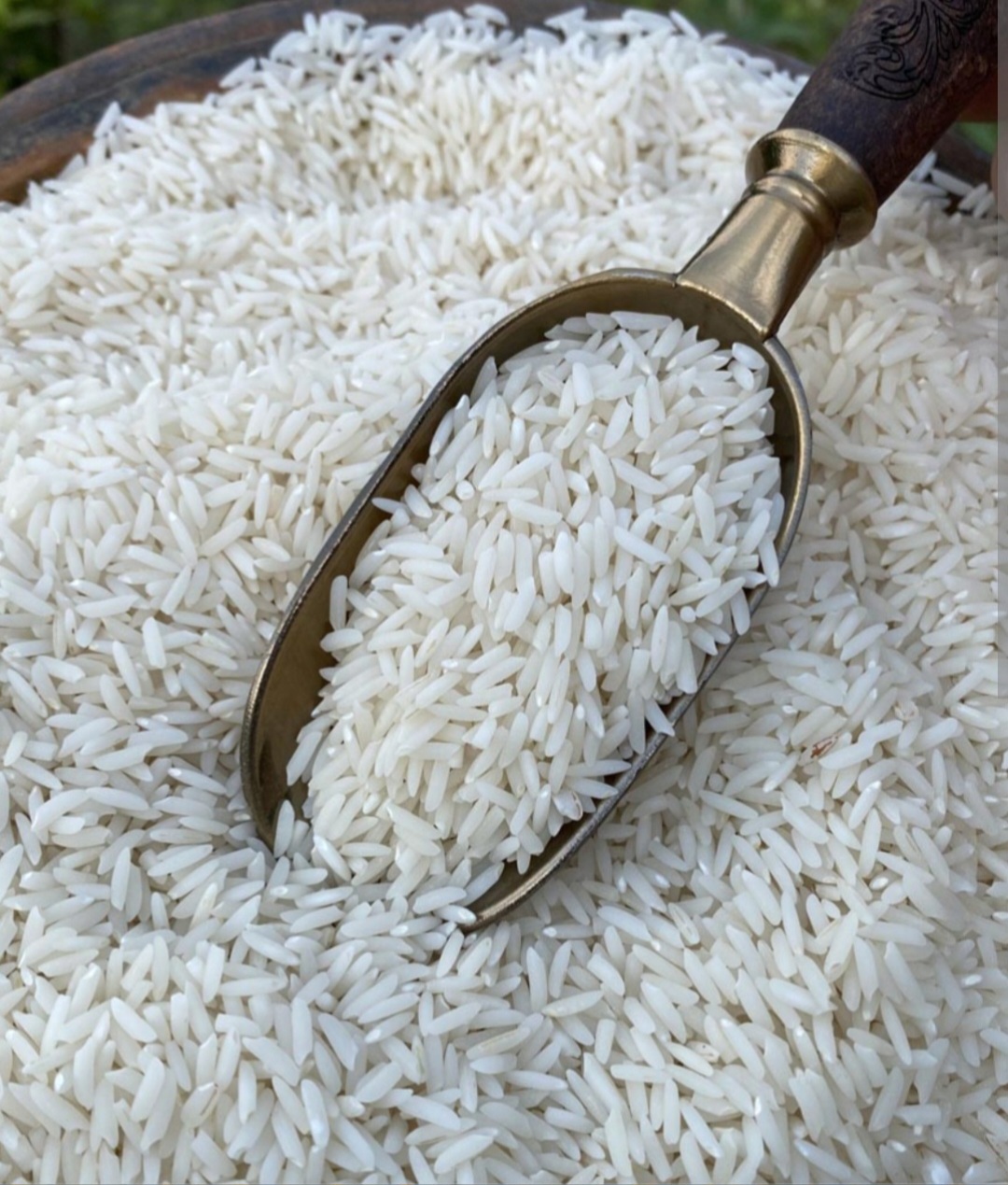 تصویر 1 از فروش برنج طارم هاشمی با کیفیت و اعلا با قیمت استثنائی