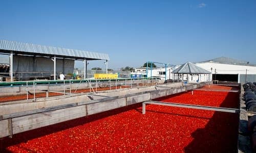 تصویر 3 از توزیع انواع رب گوجه فرنگی در فارس