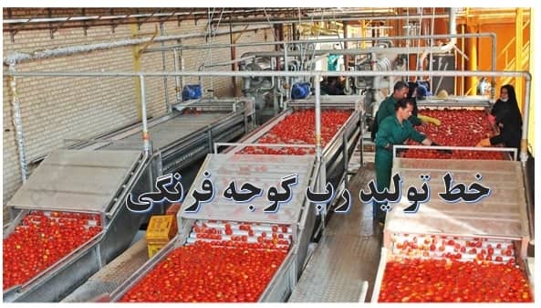تصویر 2 از توزیع انواع رب گوجه فرنگی در فارس