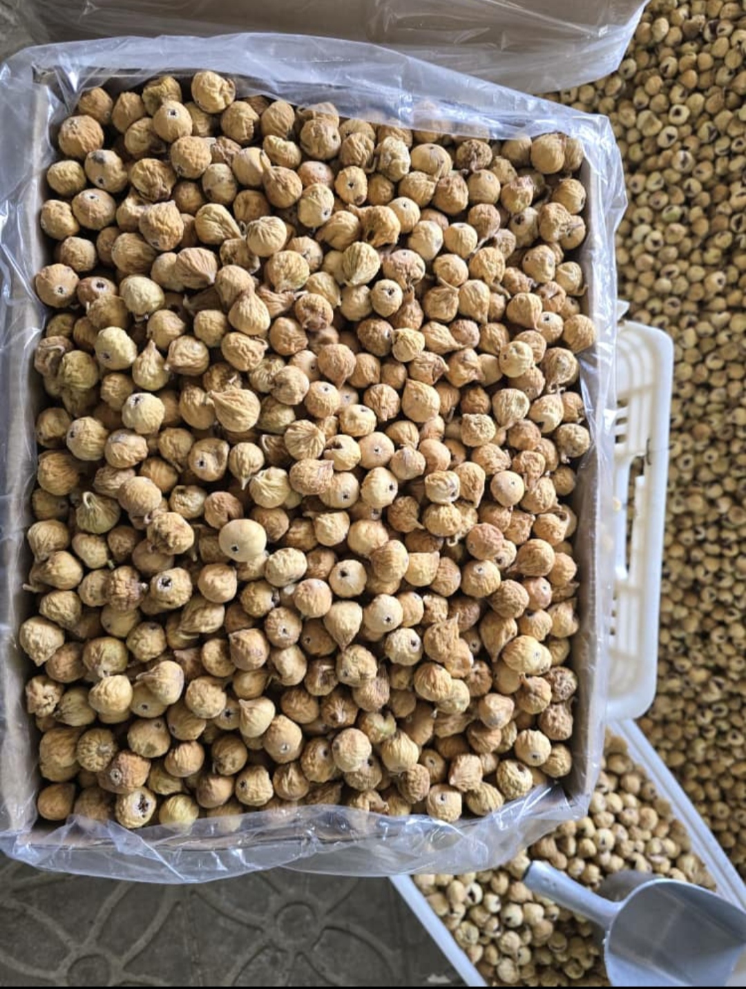 فروش انجیر 3A سوپر + قیمت کارتنی
