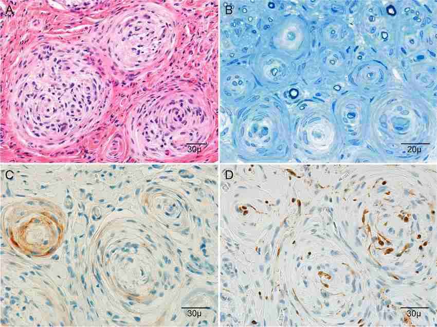 تصویر 1 از قیمت خرید عمده پارافین گرید Histology سود بالا