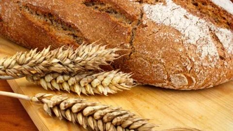 پودر گلوتن گندم ممتاز + صادراتی