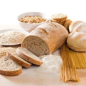پودر گلوتن گندم ممتاز صادراتی + درجه یک