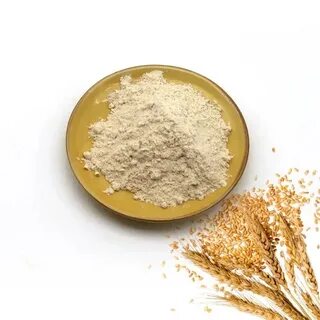 تصویر 4 از خرید پودر گلوتن گندم صادراتی + با کیفیت ممتاز