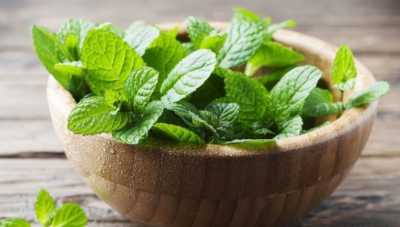 تصویر 4 از بهترین عرق نعنا ی دورین + قیمت استثنایی