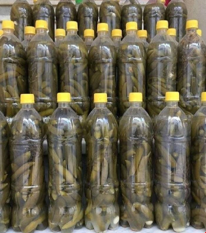 تصویر 5 از قیمت خرید عمده خیارشور نول + سود بالا