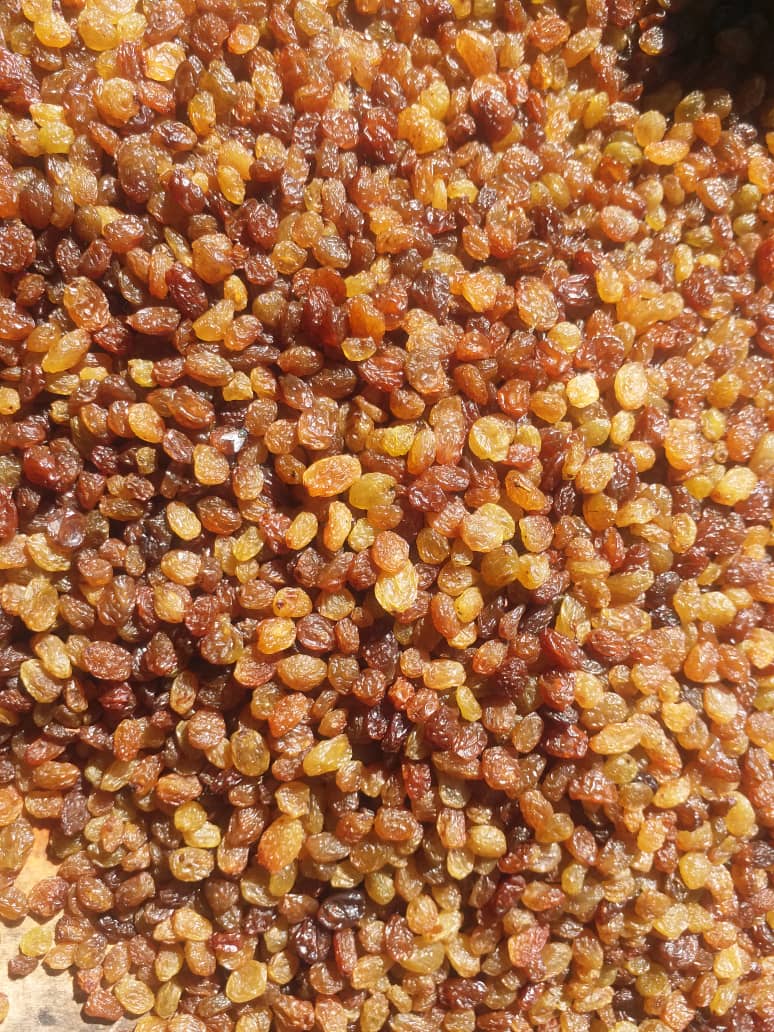 تصویر 3 از کشمش محصولی جدید با قیمت مناسب و تناژ بالا