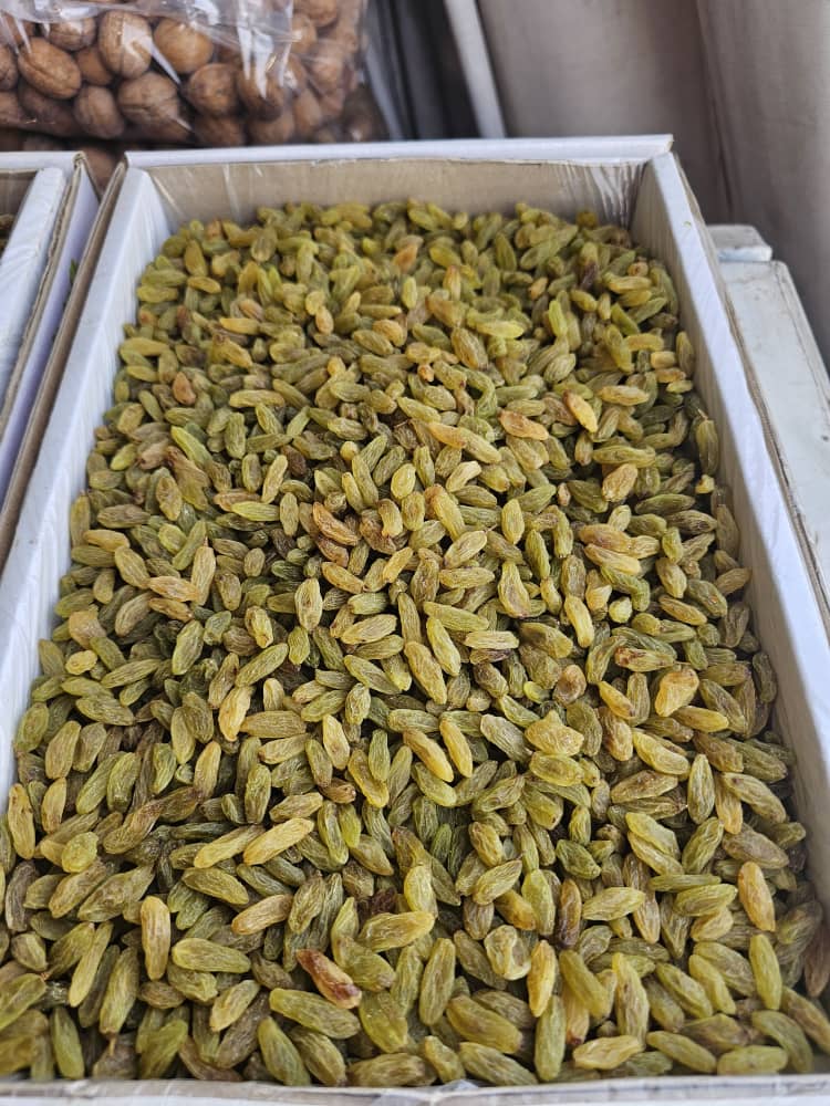 تصویر 1 از کشمش محصولی جدید با قیمت مناسب و تناژ بالا