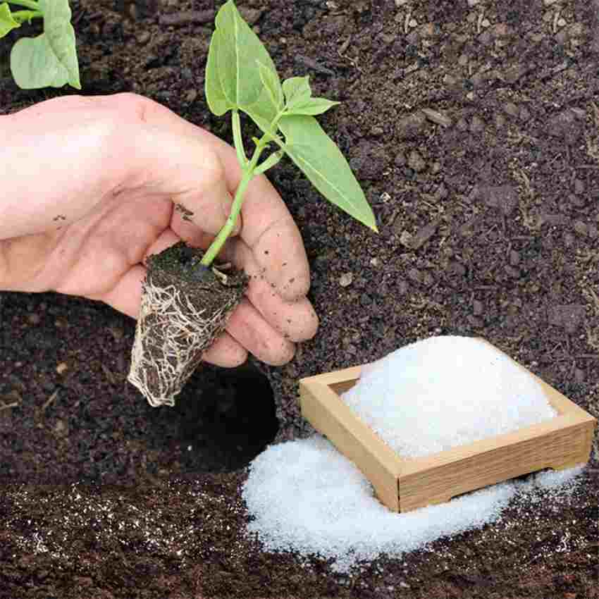 قیمت خرید ارزان خرید خاک ژله‌ای