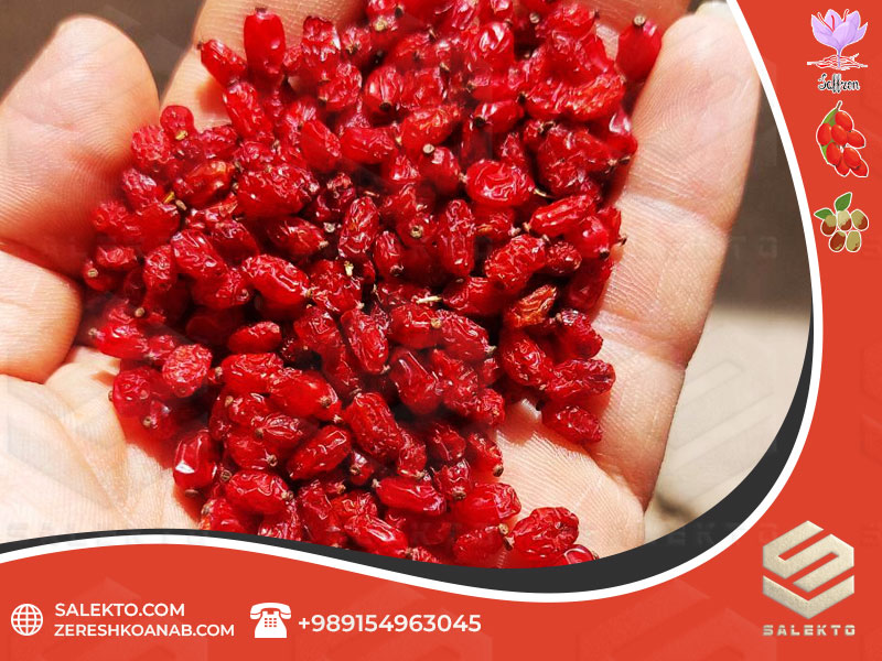 تصویر 1 از زرشک پفکی تازه بیرجند با دانه ‌های یاقوتی و بسته‌بندی بهداشتی