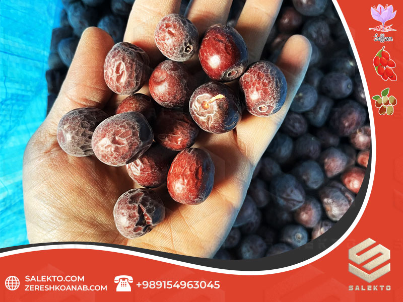 تصویر 5 از عناب خشک پرگوشت خراسان جنوبی با خواص دارویی + قیمت شگفت‌ انگیز و خرید به‌ صرفه